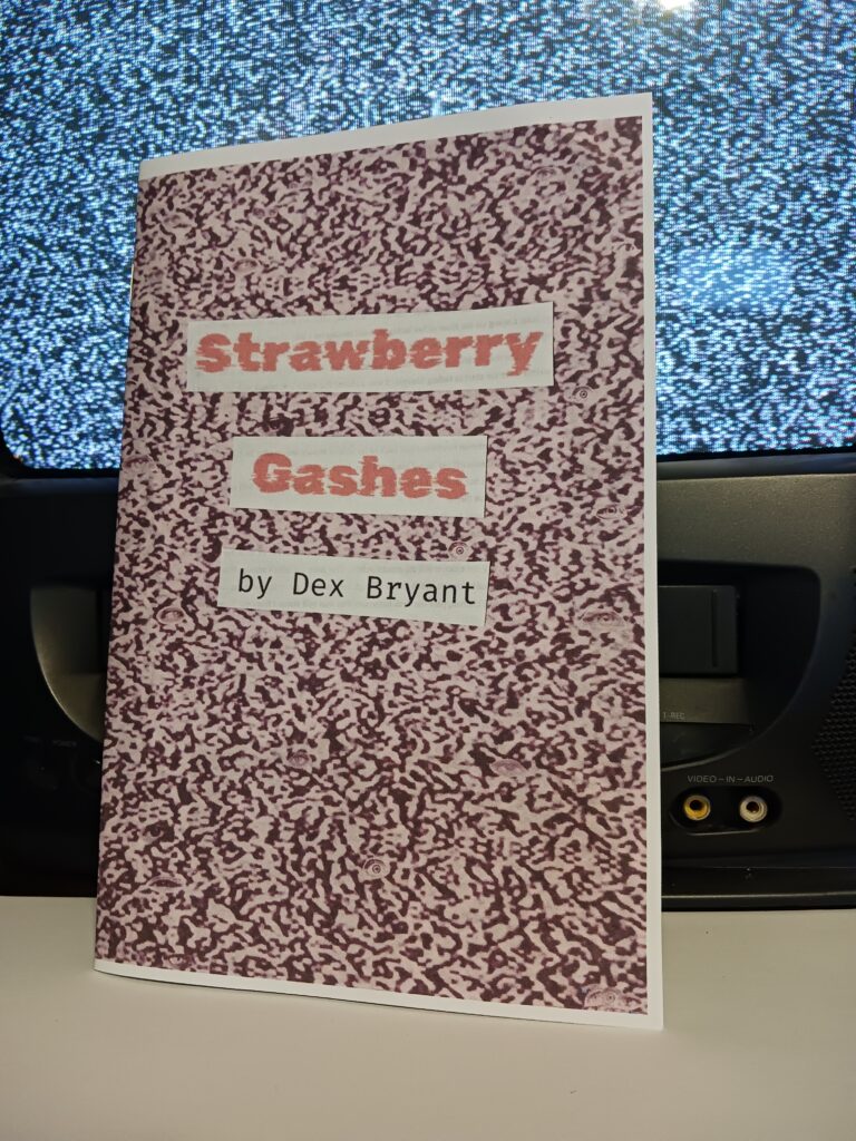 Strawberry Gashes zine in front of a staticky crt tv